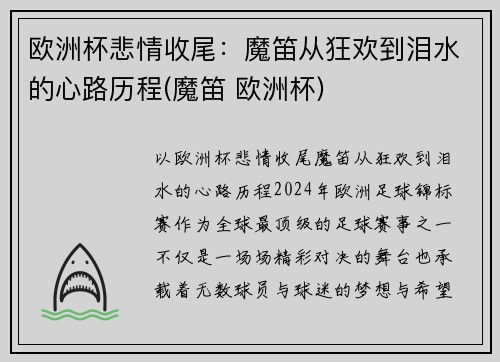 欧洲杯悲情收尾：魔笛从狂欢到泪水的心路历程(魔笛 欧洲杯)