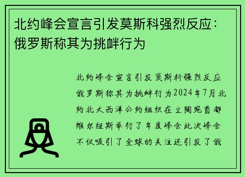 北约峰会宣言引发莫斯科强烈反应：俄罗斯称其为挑衅行为